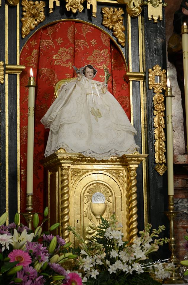 Fotos de la Romería de la Candelaria 2016 en  Cabra